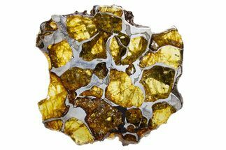 Polished Imilac Pallasite Meteorite (g) Slice #302100