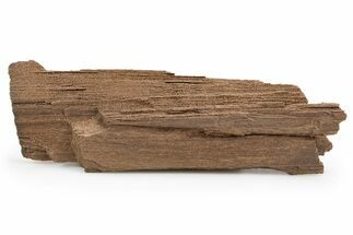 Permineralized Wood Covered In Sparkling Quartz - Germany #302080