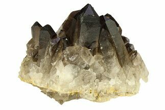 Dark Smoky Quartz Crystal Cluster - Brazil #302215