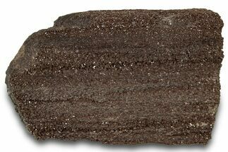 Permineralized Wood Covered In Sparkling Quartz - Germany #301996