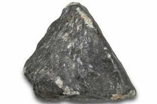 L Chondrite Meteorite ( g) - Hammadah al Hamra #302194