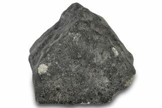 L Chondrite Meteorite ( g) - Hammadah al Hamra #302202