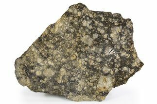 Eucrite Meteorite Slice ( g) - NWA #302276