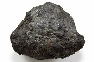 Chelyabinsk Meteorite ( g) - Witnessed Fall #302296