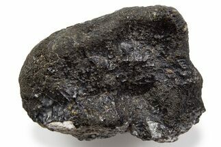 Fusion Crusted Eucrite Meteorite ( g) - NWA #302316