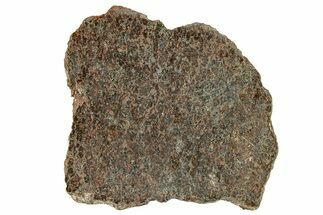 Polished Ureilite Meteorite (g) Slice - NWA #302236