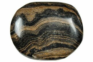 Polished Stromatolite (Greysonia) Pebble - Bolivia #302497