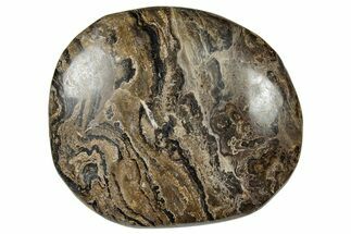 Polished Stromatolite (Greysonia) Pebble - Bolivia #302502