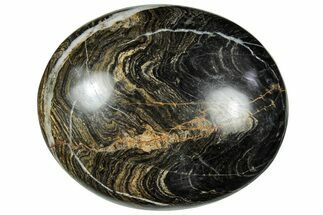 Polished Stromatolite (Greysonia) Pebble - Bolivia #302534
