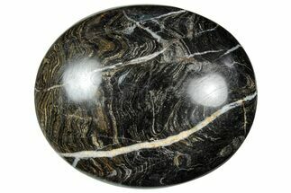 Polished Stromatolite (Greysonia) Pebble - Bolivia #302537