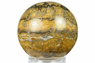 Polished Stromatolite (Greysonia) Sphere - Bolivia #302437