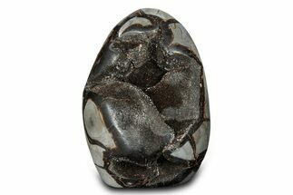 Free-Standing, Polished Septarian Geode - Black Crystals #302873