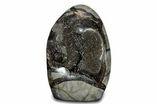 Free-Standing, Polished Septarian Geode - Black Crystals #302879