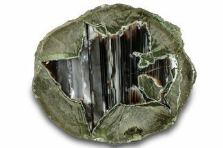 Polished Killer Green Thunderegg Half w/ Waterline Agate - Oregon #302927