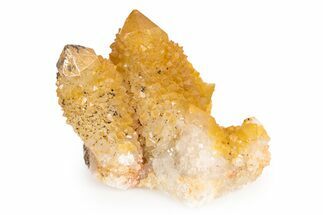 Sunshine Cactus Quartz Crystal Cluster - South Africa #303111