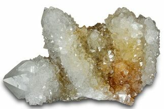 Sparkling Cactus Quartz Crystal Cluster - South Africa #303469