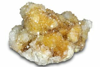 Sparkling Cactus Quartz Crystal Cluster - South Africa #303477