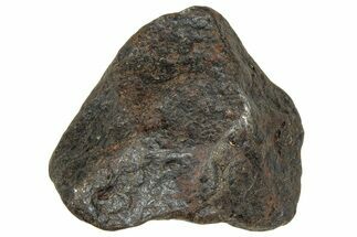 Canyon Diablo Iron Meteorite ( g) - Arizona #303488