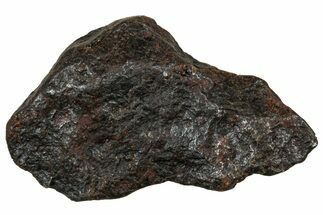 Canyon Diablo Iron Meteorite ( g) - Arizona #303551