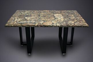 Eye-Catching, Cut and Polished Ammonite Fossil Coffee Table #303664