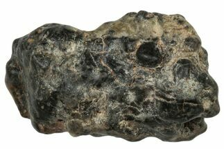 Lunar Meteorite ( g) - Touat #303575