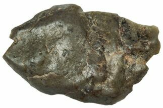 Lunar Meteorite ( g) Section - Touat #303576