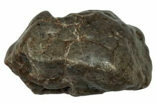Touat 008 Meteorites For Sale