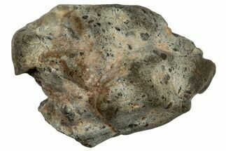 Lunar Meteorite ( g) Section - Touat #303592