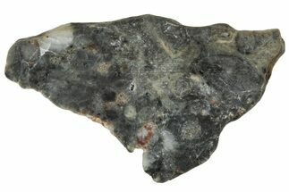 Lunar Meteorite ( g) Slice - Touat #303639