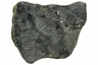 Lunar Meteorite ( g) Slice - Touat #303649