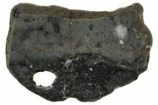 Lunar Meteorite ( g) Slice - Touat #303659