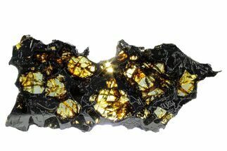 Polished Pallasite Meteorite ( g) Slice - NWA (Prov) #303835