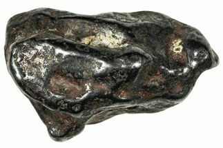 Agoudal Iron Meteorite ( g) - Morocco #303928