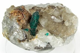 Sparkling Dioptase Crystal on Quartz - Sanda, Congo #303847