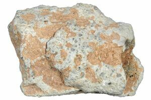 ラガッツアイタリアーナ A Complete Lunar Meteorite Slice (NWA 7834), DISCOVERED