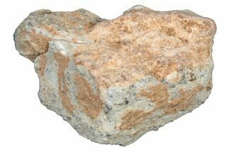 Lunar Meteorite Fragment ( g) - NWA #304131