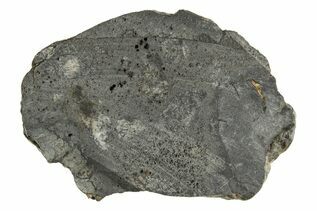Eucrite Meteorites For Sale