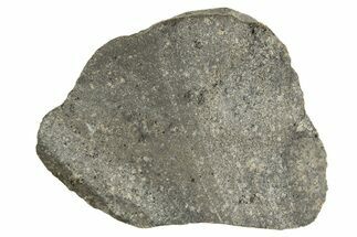 Eucrite Meteorite ( g) Section - From Vesta Minor-Planet #304282