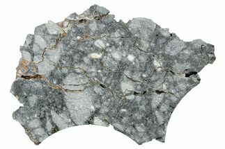 Gadamis Apollo Lunar Meteorite ( g) Slice #304310