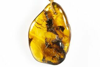 Polished Chiapas Amber ( g) Necklace - Mexico #304361