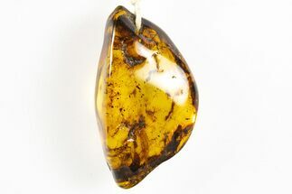 Polished Chiapas Amber ( g) Necklace - Mexico #304389