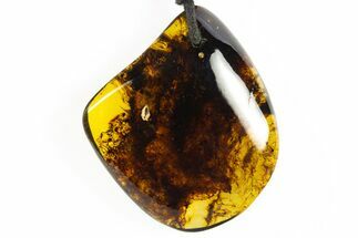 Polished Chiapas Amber ( g) Necklace - Mexico #304403