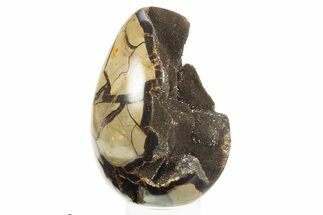 Septarian Dragon Egg Geode - Black Crystals #304613