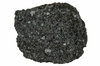 Ait Saoun EH/EH Chondrite Meteorite ( g) - Fresh Fall! #304176