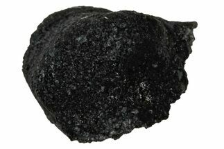 Ait Saoun EH/EH Chondrite Meteorite ( g) - Fresh Fall! #304184
