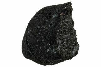 Ait Saoun EH/EH Chondrite Meteorite ( g) - Fresh Fall! #304194