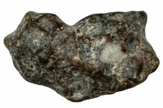 Lunar Meteorite ( g) - NWA #303983