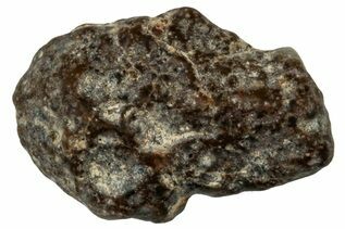 NWA 13974 Meteorites For Sale
