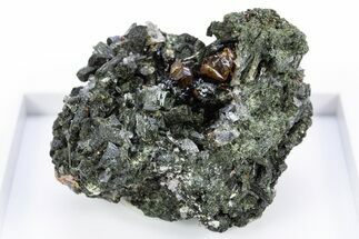 Lustrous Andradite (Topazolite) Garnets in Actinolite - Iran #305427