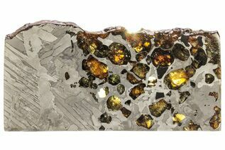 Seymchan Pallasites For Sale